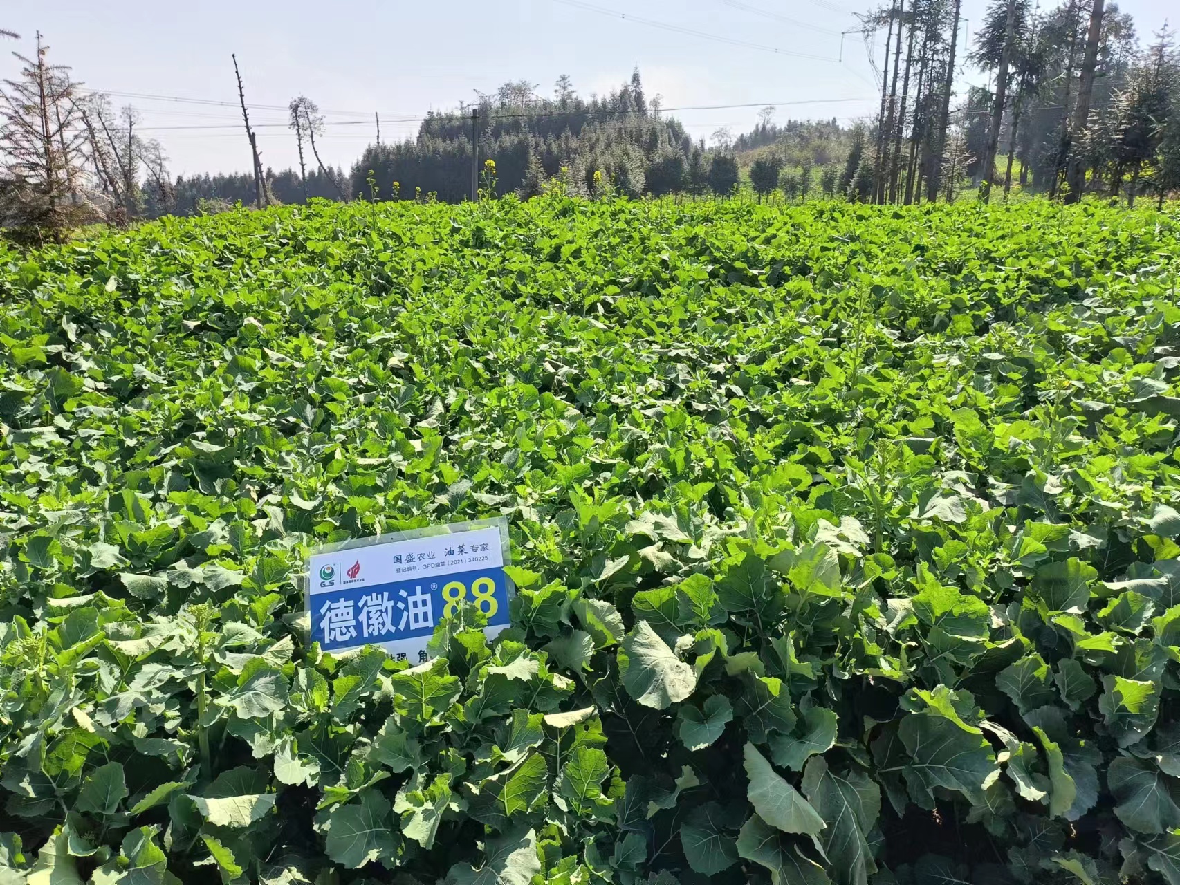 微信图片_20230207093620