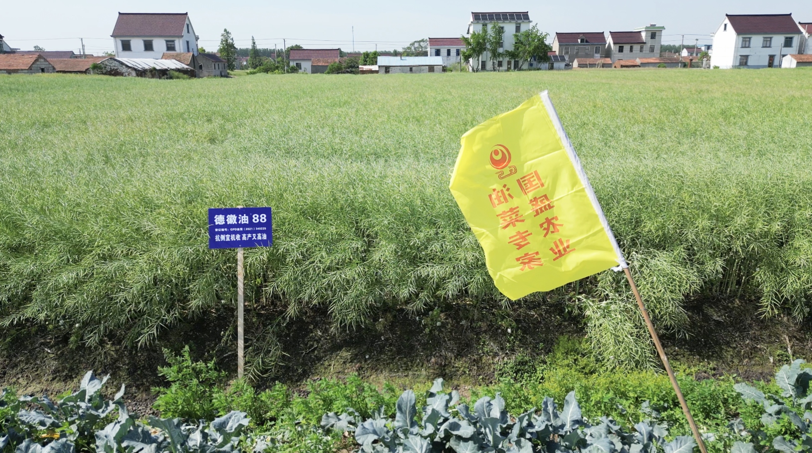 微信图片_20250522095721